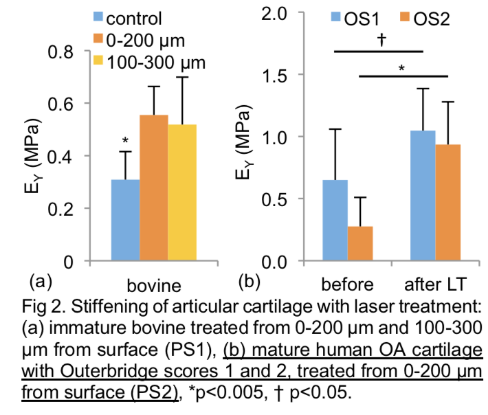 Enhancement of Mechanical Stiffness