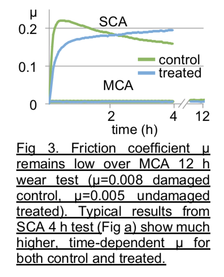 Enhanced wear properties of cartilage