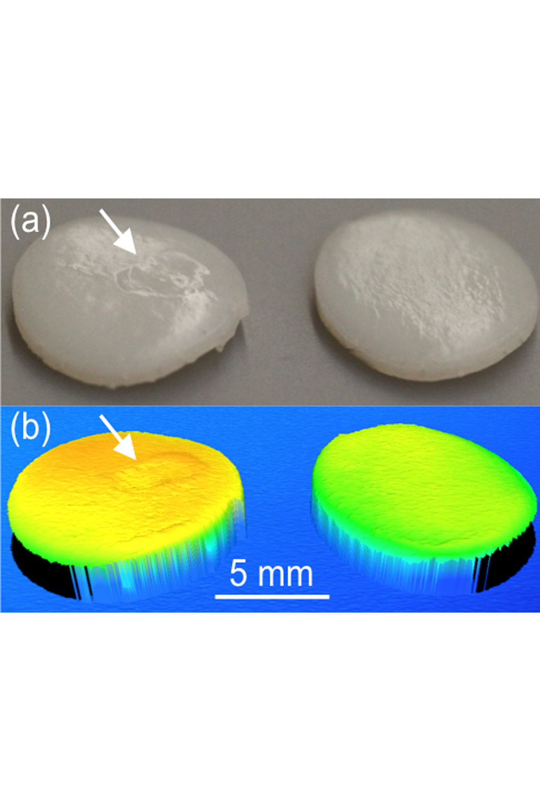 a) Photographs and (b) laser surface scans of bovine cartilage plugs after delamination wear