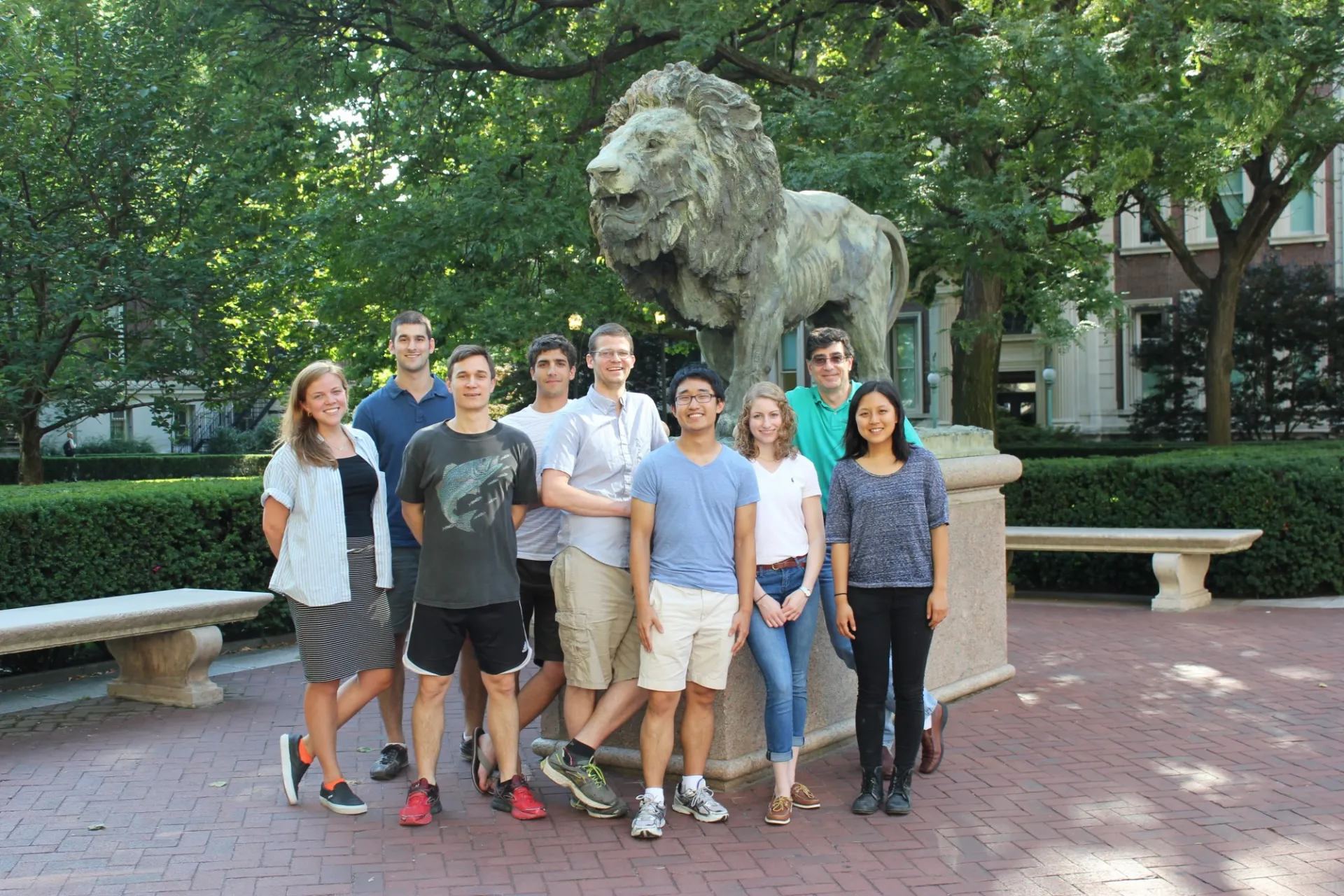 Summer lab pic lion