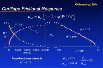 Krishnan slide 2004